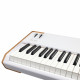 ARTURIA ASTROLAB 88