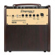 NUX AC-80 STAGEMAN II