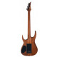 SOLAR GUITARS S1.6PB-27 BARITONE POPLAR BURST MATTE