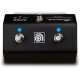 AMPEG AFS2