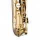 STAGG P WS-AS215S