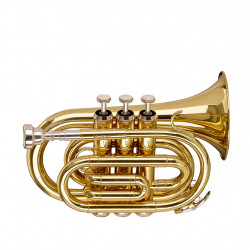 STAGG P WS-TR245