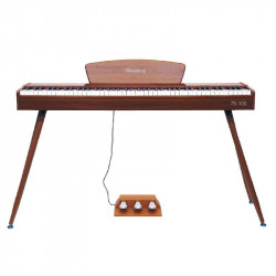 Toneberg TS-100 WD