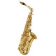 Maxtone SXC30 AL