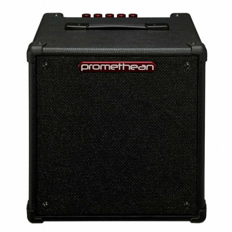 Ibanez P20