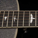 PRS SE P20E (Black Dog Hair)