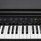 Kurzweil CUP G1W BP