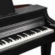 Kurzweil CUP G1W BP