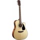 FENDER CD-100CE NT