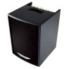 ASHDOWN ACOUSTIC 100-bk