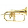 MAXTONE TFC51LM