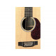 MARTIN D12X1AE