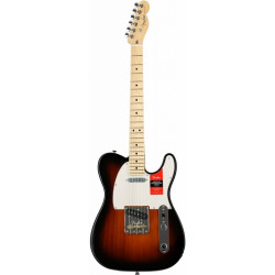 FENDER AMERICAN PROFESSIONAL TELECASTER (ASH) MN 2TS