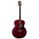 TAKAMINE EG430S-WR