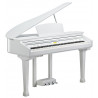 KURZWEIL KAG-100 WHP
