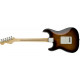 FENDER STANDARD STRATOCASTER HSS PAU FERRO FINGERBOARD BROWN SUNBURST