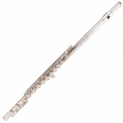 Флейта Odyssey Debut Flute OFL100