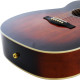 NORMAN 041916 - B50 CH Burnt Umber HG Presys with TRIC