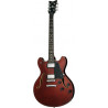 SCHECTER CORSAIR T.O.M. GWAL