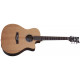 SCHECTER DELUXE ACOUSTIC NS