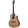 SCHECTER DELUXE ACOUSTIC NS
