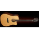 WASHBURN WD150 SWCE