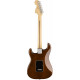 FENDER AMERICAN SPECIAL STRATOCASTER MN WALNUT