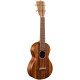 MARTIN C1K Uke Concert Ukulele