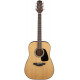 TAKAMINE GD10 NS