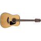 TAKAMINE GD10 NS