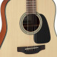 TAKAMINE GD10 NS