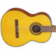 TAKAMINE GC1 NAT