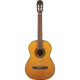 TAKAMINE GC1 NAT