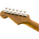 FENDER CUSTOM SHOP ARTISAN TAMO ASH STRAT