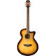 WASHBURN EA15ATB