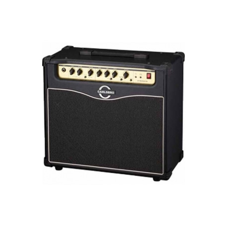 Комбоусилитель гитарный Carlsbro STINGRAY 45 MK II