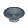 Широкополосный громкоговоритель GEMINI WF10-GVX10P