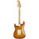 FENDER AMERICAN PERFORMER STRATOCASTER RW HONEY BURST