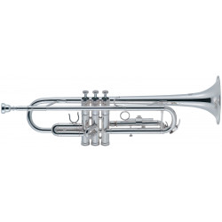 J.MICHAEL TR-300SA (S) Trumpet