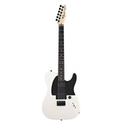 FENDER JIM ROOT TELECASTER WHT