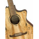 FENDER FA-345CE SPALTED MAPLE FSR LR