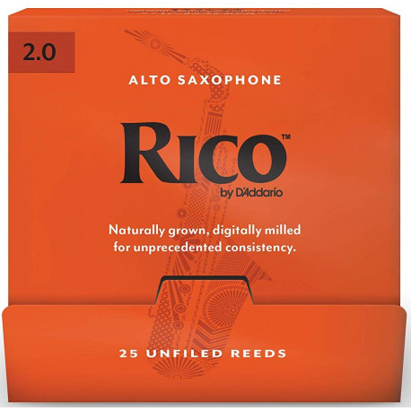 D`ADDARIO RJA0120-B25 Rico by D'Addario - Alto Sax 2.0 - 25 Box