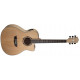 WASHBURN AG40CE