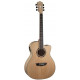 WASHBURN AG40CE