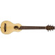 WASHBURN RO10SK