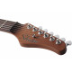 SCHECTER NICK JOHNSTON DS TRAD A.GREEN