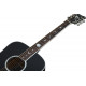 SCHECTER RS-1000 STAGE ACOUSTIC
