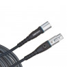 D'ADDARIO PW-M-10 Custom Series Microphone Cable 10ft