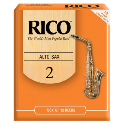 RICO Rico - RJA1220 - Alto Sax 2.0 - 12 Box