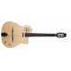 GODIN 047109 - MULTIAC GYPSY JAZZ WITH TRIC